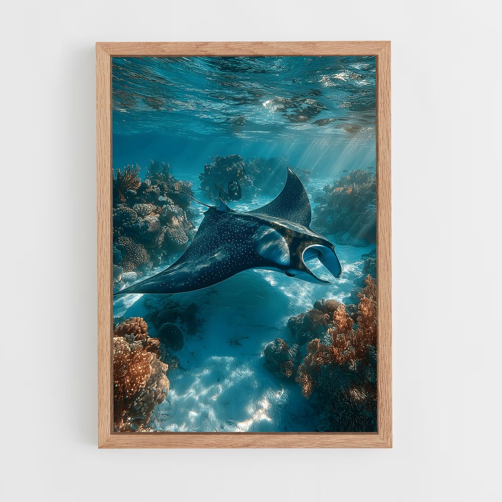 Poster Danse des Raies – affiche Plongée sous-marine (vue 4)